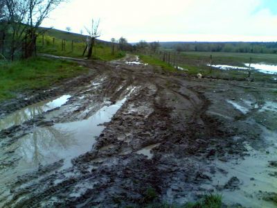 Клікніть щоб побачити фото повного розміру